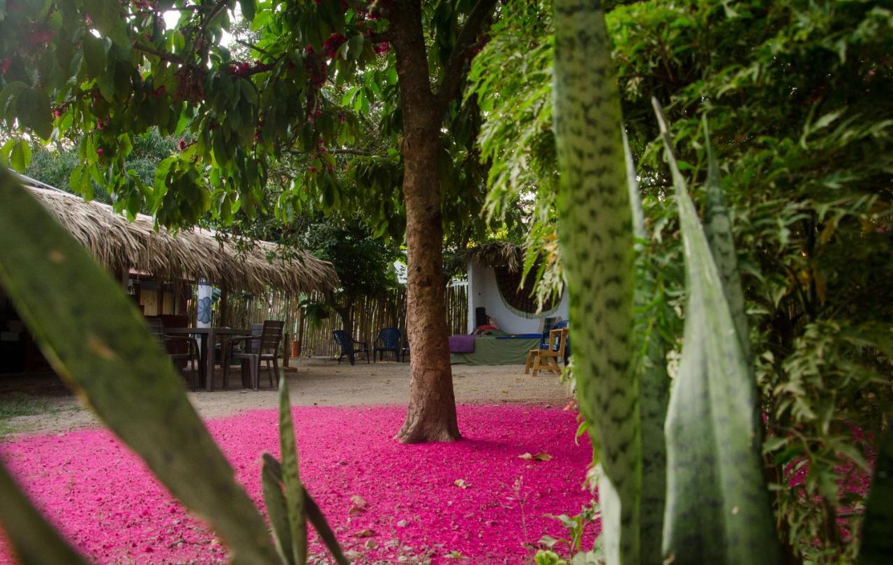Hostal Corazon De Tagua Palomino Kültér fotó