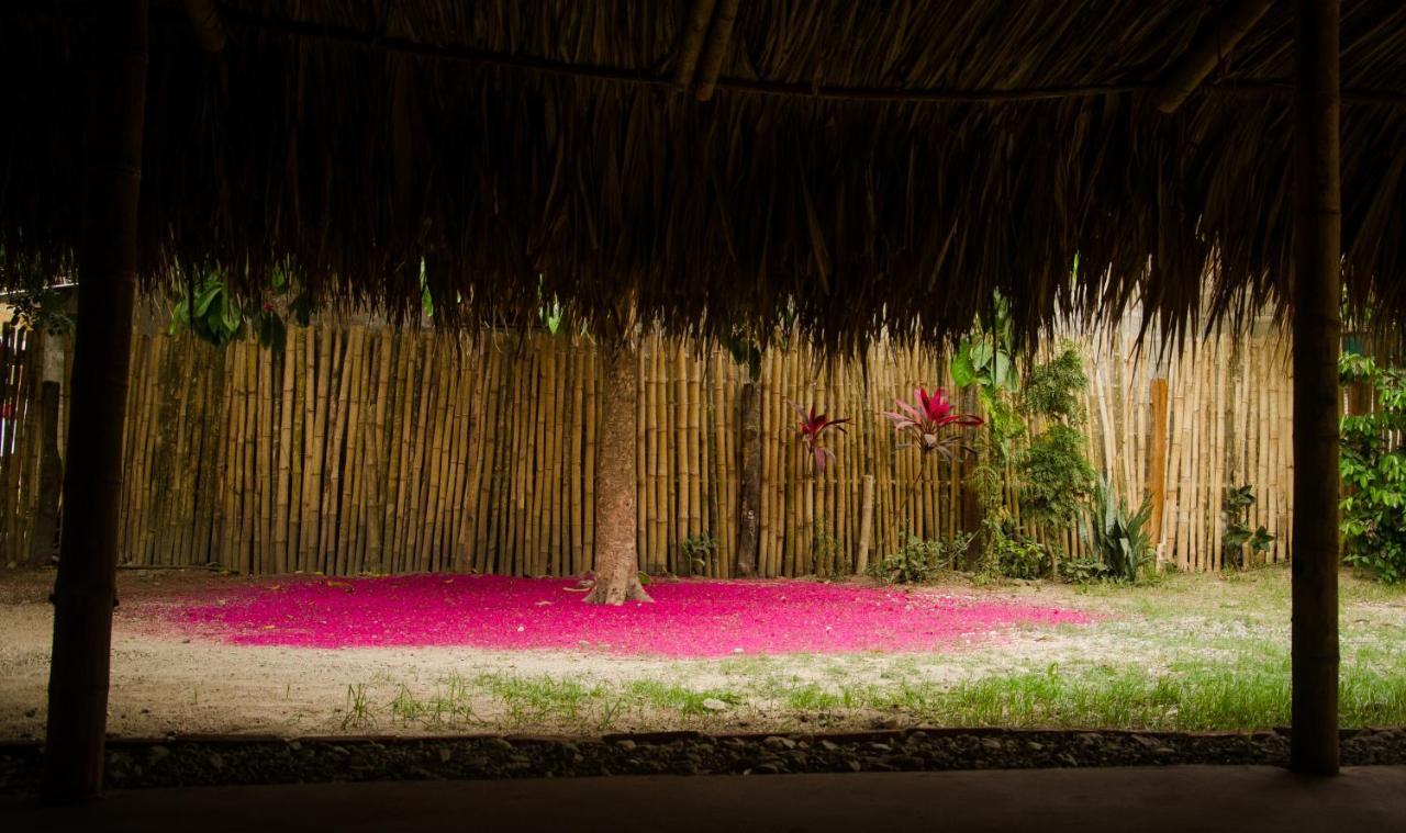 Hostal Corazon De Tagua Palomino Kültér fotó