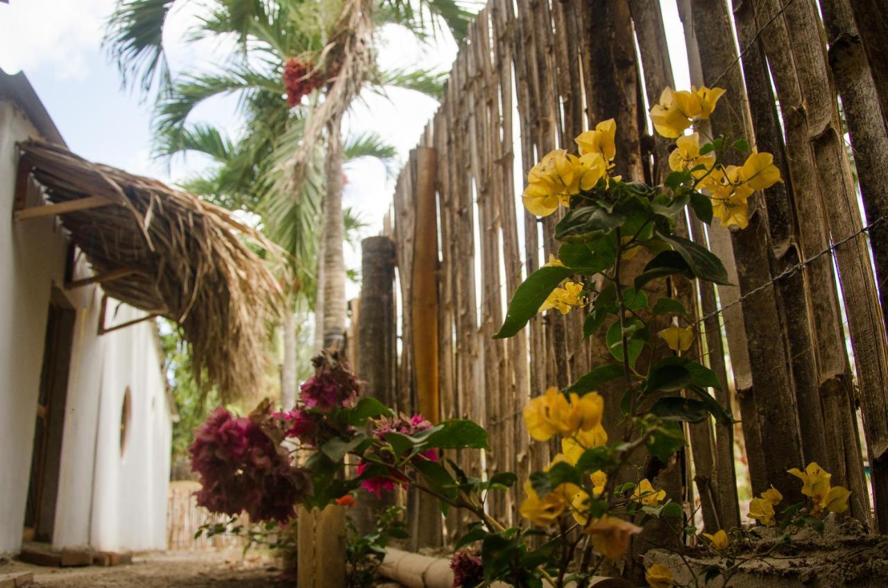 Hostal Corazon De Tagua Palomino Kültér fotó