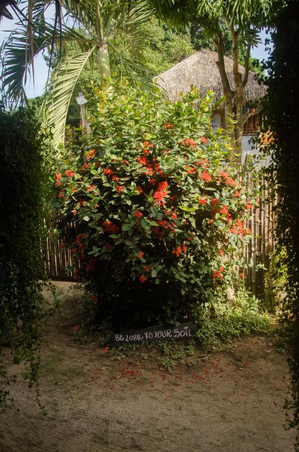 Hostal Corazon De Tagua Palomino Kültér fotó